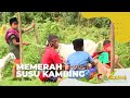 Memerah Susu Kambing SI BOLANG 28 09 22