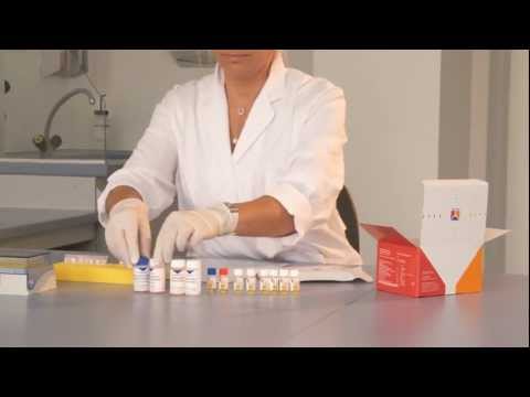 ELISA-Testsysteme in der Autoimmundiagnostik (Autoimmunität)