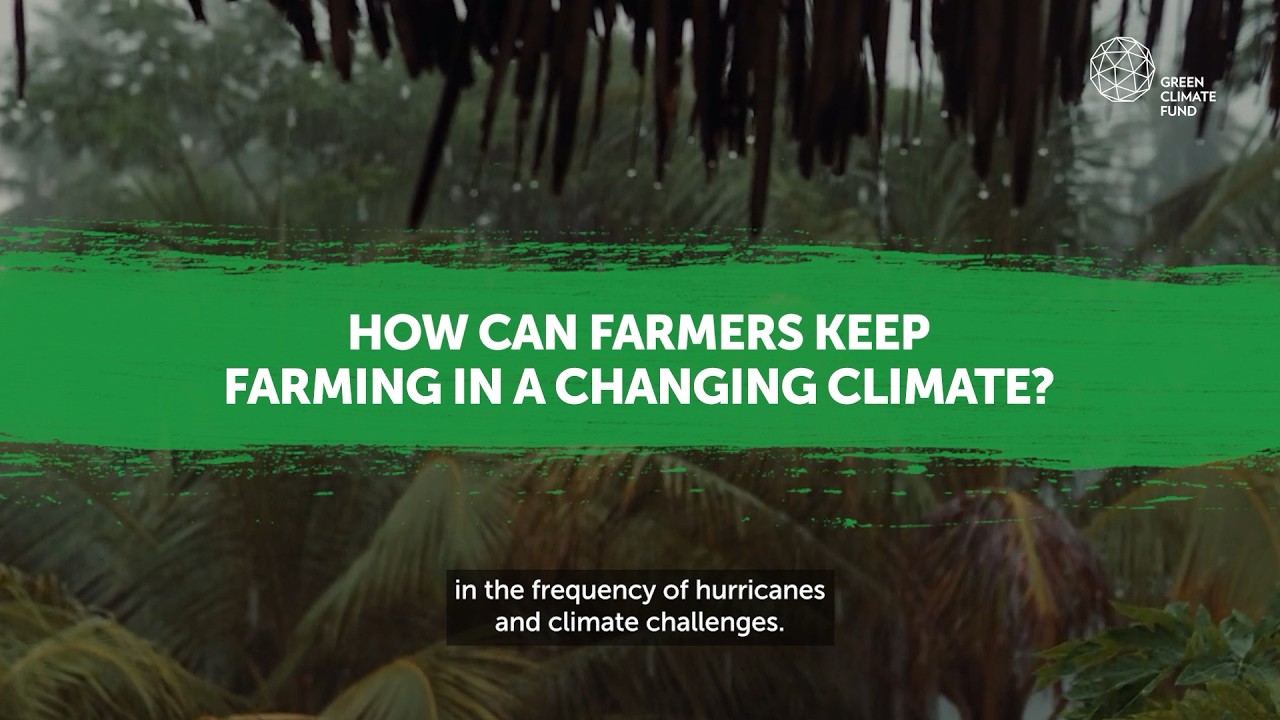 GCF in Jamaica: Building a climate-resilient agricultural sector