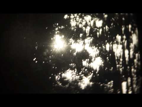 The SUFIS 'Sri Sai Flora' ample play records