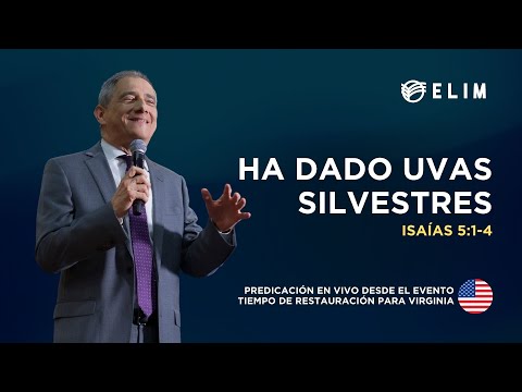 He has yielded wild grapes | Isaiah 5:1-4