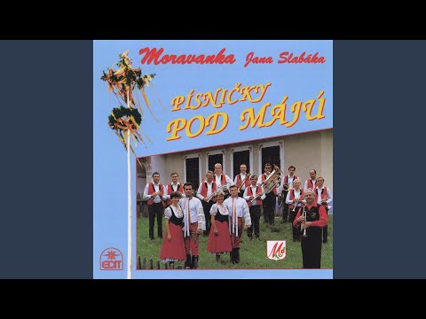 Na hodech muzika vyhrávala