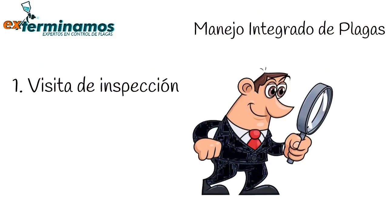 Vídeo de la empresa EXTERMINAMOS