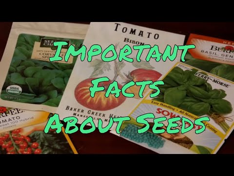 image-What is the difference between organic and heirloom seeds?