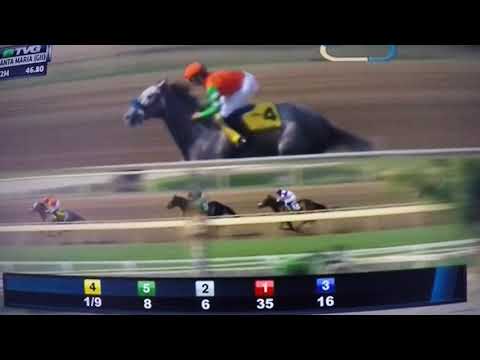SANTA MARIA (G 2) STAKES 2/10/18 - UNIQUE BELLA !!!