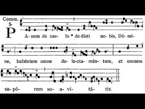 Panem De Caelo, Communion Antiphon