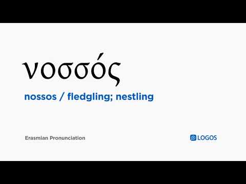 How to pronounce Nossos in Biblical Greek - (νοσσός / fledgling; nestling)
