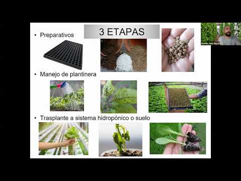 , title : 'Webinar Hidroponía y otros Cultivos sin suelo "Técnicas avanzadas de germinación"'