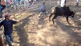 preview picture of video '2° Rodeio Rancho Santa Clara 2013.'