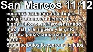 preview picture of video 'Nuestro Señor San Marcos 11 12 Vida Jesus Cristo-Cristo Jesús Book Vida Jesucristo NuestroSeñor'