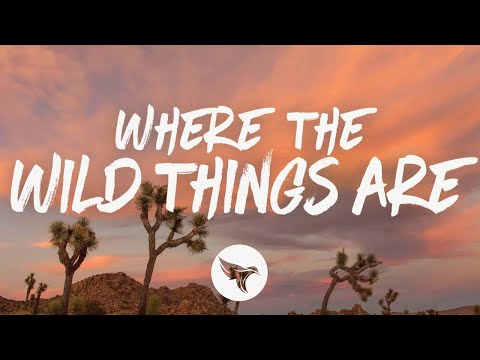 Luke Combs - Where the Wild Things Are (Lyrics)