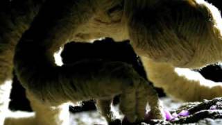 Music video thumbnail preview for Sunking - State of Mind - Official Music Video (Drum n Bass) by State of Mind