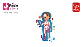 Video de Hape Rompecabezas Gigante del Cuerpo Humano | Anatomía 3D