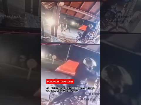 ASÍ ENTRARON DELINCUENTES AL BARRIO CARMEL ESTA MADRUGADA