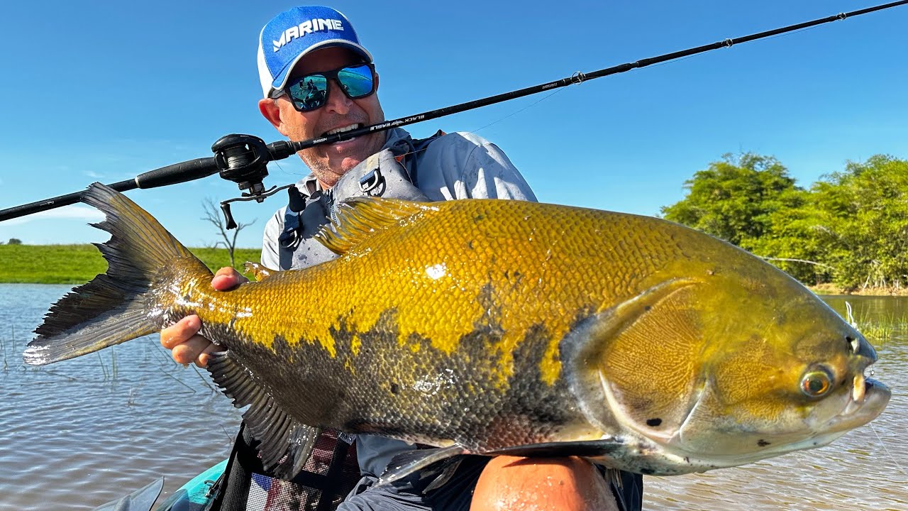 O PEIXE MAIS FORTE DE ÁGUA DOCE DO MUNDO, PESQUEI NO CAIAQUE