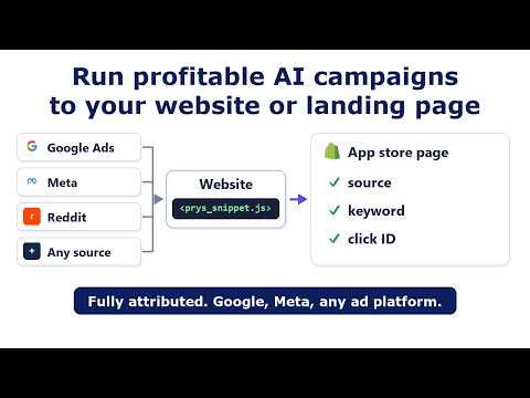 Shopify app website and landing page tracking for profitable AI campaigns (video)
