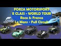 RACE 5 FORZA MOTORSPORT E CLASS WORLD TOUR CHALLENGE LEVEL 8 AI LE MANS