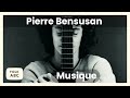 Pierre Bensusan - Musiques (Full Album)