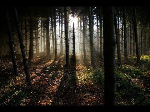 Wegbau in der Kiesgrube