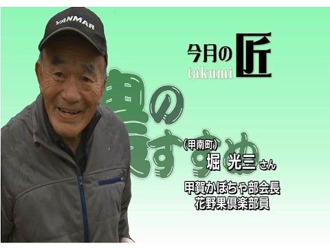 園芸 かぼちゃ、かぼちゃ