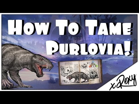 How To Tame Purlovia! - Everything You Need To Know - ARK: Survival Evolved