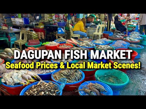 Philippines Fish Market Tour in DAGUPAN, PANGASINAN 2025 | FRESH SEAFOOD PRICES & FOOD MARKET SCENES