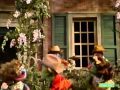 Classic Sesame Street It S Zydeco