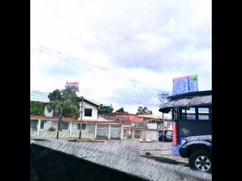 Shiro - Pensar de más 🎴