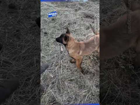 Перестарались с работой