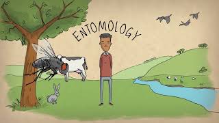 Download lagu What is an entomologist? mp3 Download lagu What is an entomologist? mp3