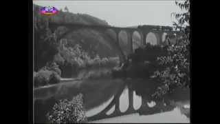 preview picture of video 'Sever do Vouga - Linha do Vale do Vouga (Excertos do filme A Luz Vem do Alto, de 1959)'