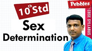 Sex Determination|Heredity and Evolution| CBSE Class10| Biology
