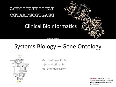 Clinical Bioinformatics   Gene Ontology