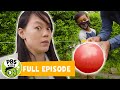 Mega Wow Telling Jokes With Balloon Rockets PBS KIDS