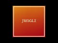Jungle - PROBLEMZ (432hz)