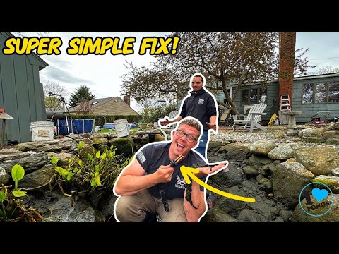 HOW TO PREVENT STRING ALGAE IN YOUR POND!