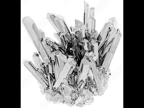 Video LiveExpertVisitor