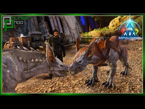 The Ravager Pack is Growing! 5 Tame Challenge 78