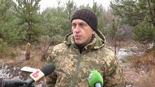 Сосна до 3 метрів — 156 гривень: у лісгоспах обіцяють найдешевші ялинки для харків’ян