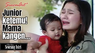 Download lagu Junior sudah ketemu!! Akhirnya bisa peluk Mama Nana lagi🥺❤️ | BUKU HARIAN SEORANG ISTRI - 04 Feb 22 mp3