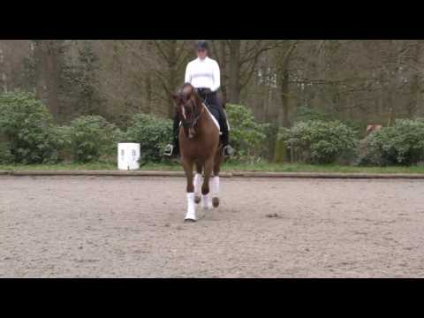 Schumacher converted