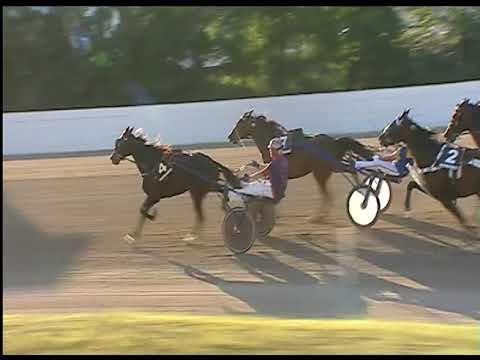 Trotto 20/06/2020 - 3ª corsa