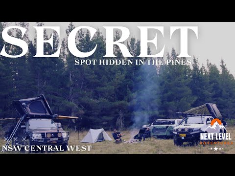 Alone In The Pines! Uncovering a Secret Campsite Deep In The Forest!
