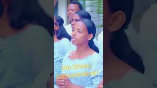 Download lagu Hin Dhiisu Cichoomakoo! mp3