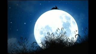 La lepre nella luna - Angelo Branduardi (cover)