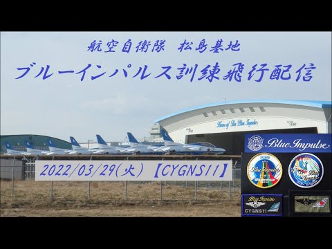2022蟷ｴ 譚ｾ蟲ｶ蝓ｺ蝨ｰ險鍋ｷｴ 繝悶Ν繝ｼ繧､繝ｳ繝代Ν繧ｹ YouTube繝ｩ繧､繝夜・菫｡繧｢繝ｼ繧ｫ繧､繝悶・繧ｵ繝繝阪う繝ｫ 81