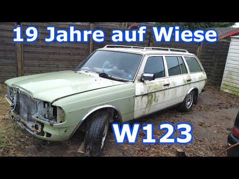 19 Jahre auf einer Wiese! Dieser Mercedes bekommt ein zweites Leben - W123 200T Projekt [Teil 1]
