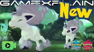 Galarian Form Ponyta Revealed at 24-Hour Pokémon Sword & Shield Livestream's End! The Final Minutes!