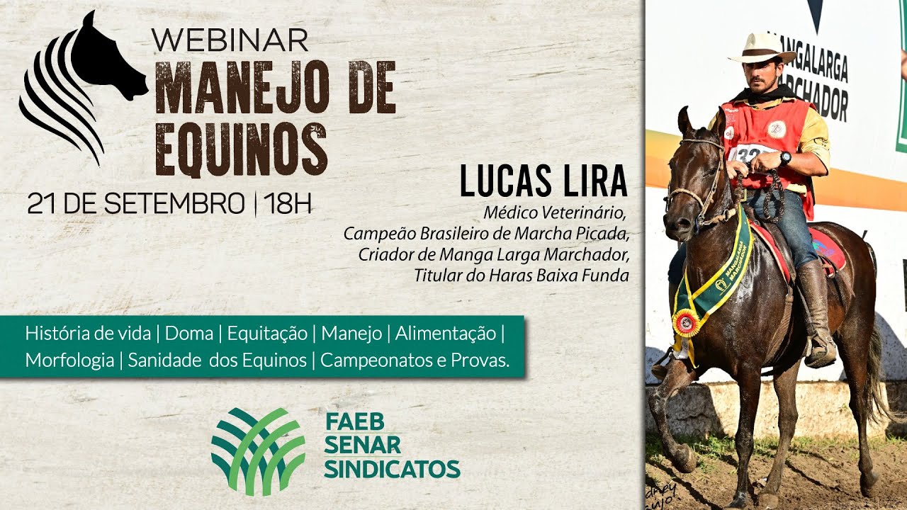 Webinar Manejo de Equinos