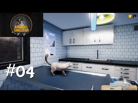 Animal Shelter Simulator #04 --Katzen in den OP--
